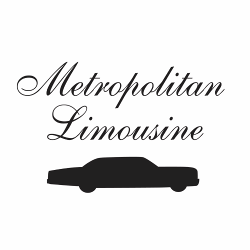 limousine passenger console organizers